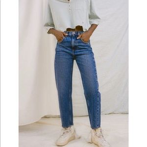 NWT BDG High-Waisted Carrot Jean Medium Wash
